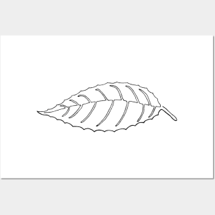 Single-Line Leaf (Dark on Light) Posters and Art